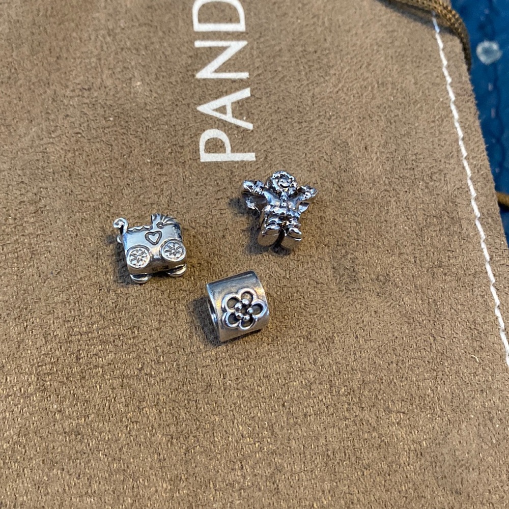 Pandora Charms